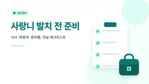 사랑니 발치 전 준비